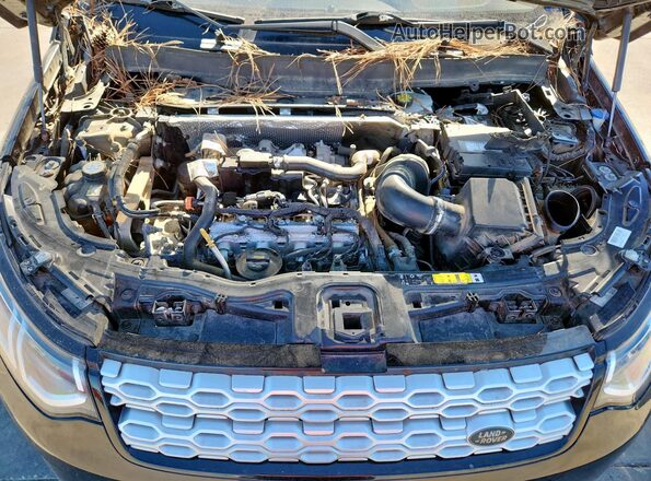 SALCJ2FX7LH851091 2020 LAND ROVER DISCOVERY Black Widok naklejki z numerem VIN