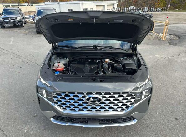 5NMS4DAL0MH348755 2021 HYUNDAI SANTA FE Gray Հետևի տեսք