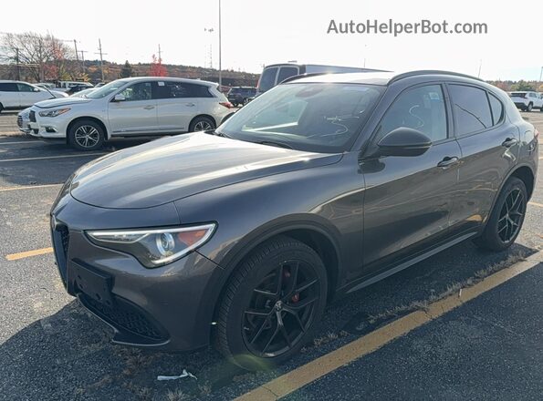 ZASPAKAN5K7C65788 2019 ALFA ROMEO STELVIO Gray უკანა მარჯვენა