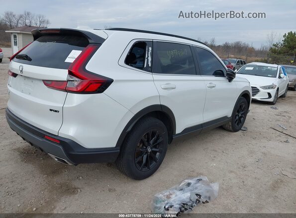 7FARS6H55PE025741 2023 HONDA CR-V White უკანა მარჯვენა
