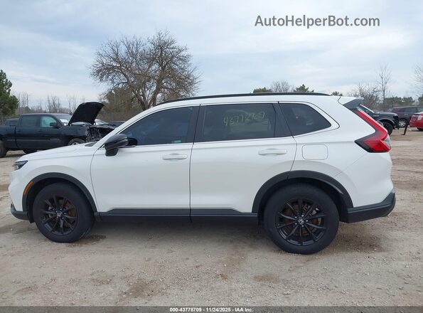 7FARS6H55PE025741 2023 HONDA CR-V White უკანა სალონის ხედი