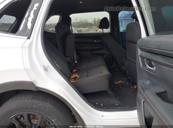 7FARS6H55PE025741 2023 HONDA CR-V White VIN კოდის სტიკერის ხედი