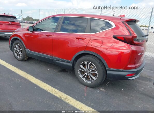 7FARW1H53LE015176 2020 HONDA CR-V Red უკანა მარცხენა