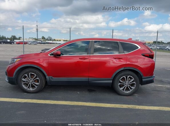 7FARW1H53LE015176 2020 HONDA CR-V Red სალონის 360-გრადუსიანი ხედი