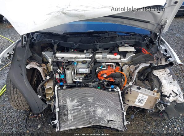 7SAXCBE54RF435319 2024 TESLA MODEL X White Հետևի տեսք