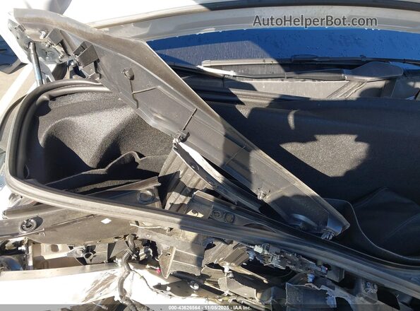 7SAXCBE66PF428863 2023 TESLA MODEL X Белый Вид сзади