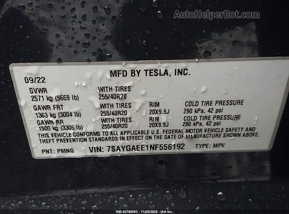 7SAYGAEE1NF556192 2022 TESLA MODEL Y Gray 