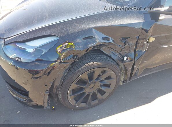 7SAYGAEEXNF534689 2022 TESLA MODEL Y Black Вид спереду