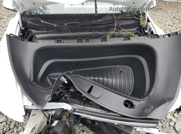 7SAYGDEE1TA461241 2026 TESLA MODEL Белый 