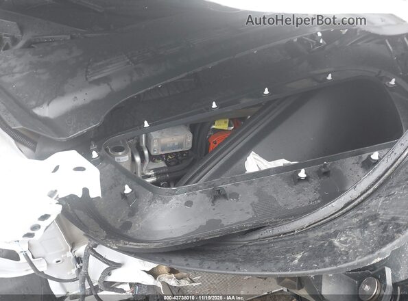 7SAYGDEF6RF107770 2024 TESLA MODEL Y White Rear view
