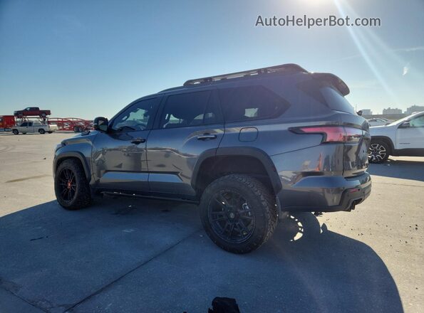7SVAAABA0SX050880 2025 TOYOTA SEQUOIA Серый Задняя левая четверть