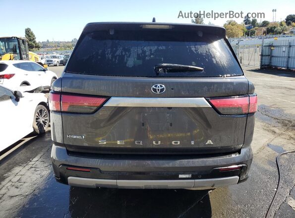 7SVAAABA1PX009052 2023 TOYOTA SEQUOIA Серый Вид сзади