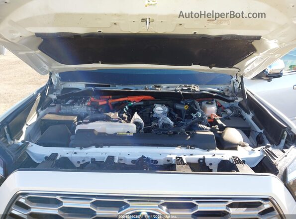 7SVAAABA2RX042516 2024 TOYOTA SEQUOIA White Widok z tyłu
