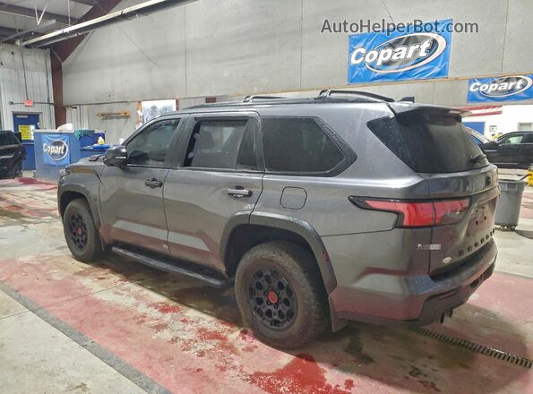 7SVAAABA6RX044074 2024 TOYOTA SEQUOIA Gray Հետևի ձախ