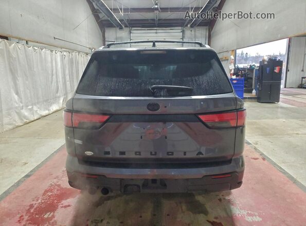 7SVAAABA6RX044074 2024 TOYOTA SEQUOIA Gray Հետևի տեսք