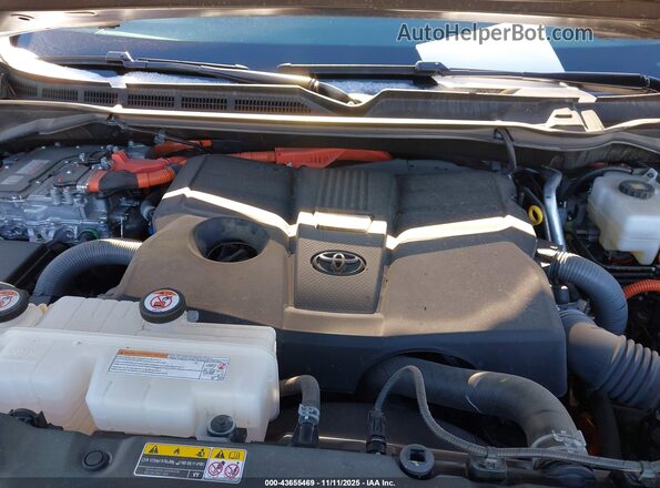7SVAAABAXSX058405 2025 TOYOTA SEQUOIA Gray უკანა ხედი