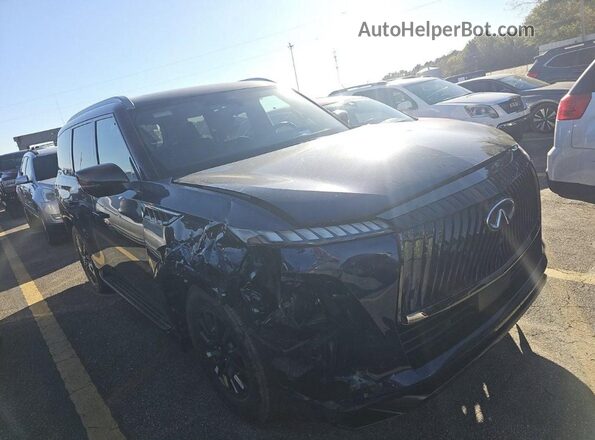 JN8AZ3CC8S9602083 2025 INFINITI QX80 Blue 