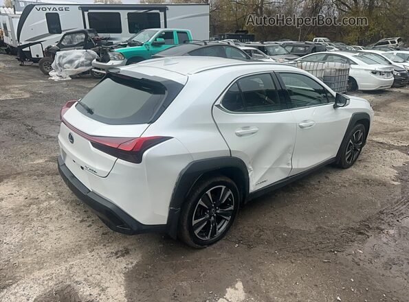 JTHP9JBH0M2048569 2021 LEXUS UX 250H Белый Вид спереди