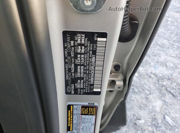 KM8KN4DE0RU248841 2024 HYUNDAI IONIQ Silver Widok naklejki z numerem VIN