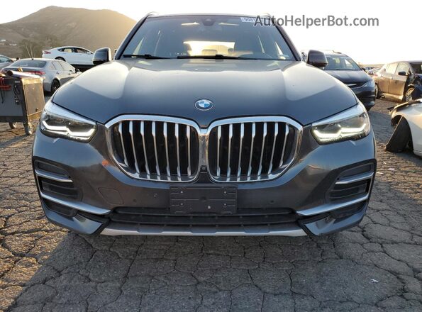 5UXCR4C01P9P01107 2023 BMW X5 Black Вид ззаду