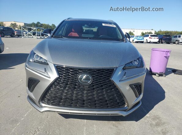 JTJSARBZ5M2192836 2021 LEXUS NX Silver Rear view