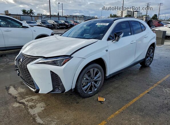 JTHB6JBH6P2150773 2023 LEXUS UX Белый Задняя левая четверть
