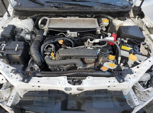 JF1VBAF61P9816292 2023 SUBARU WRX Белый Вид задней части салона
