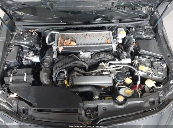 JF1VBAN62R9804155 2024 SUBARU WRX Серый Вид сзади