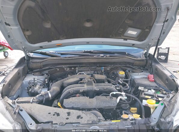 JF2SJARC5JH545625 2018 SUBARU FORESTER 2.5 Green 