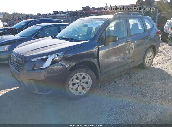 JF2SKABC8RH435901 2024 SUBARU FORESTER Pewter Vista tres cuartos delantera izquierda