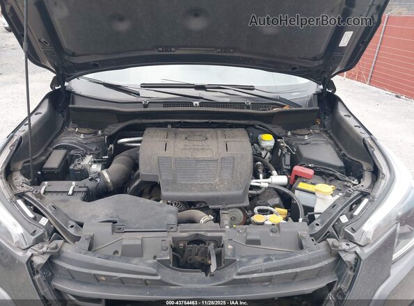 JF2SKACC4RH452838 2024 SUBARU FORESTER Gray Widok z tyłu
