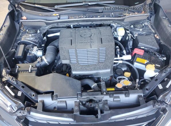 JF2SKADC4RH441093 2024 SUBARU FORESTER Серый Вид задней части салона