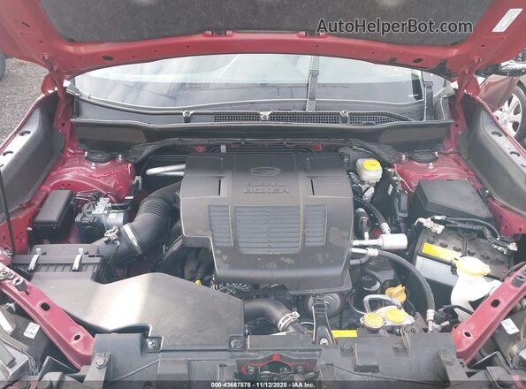 JF2SKAMCXRH449182 2024 SUBARU FORESTER Burgundy Widok z tyłu