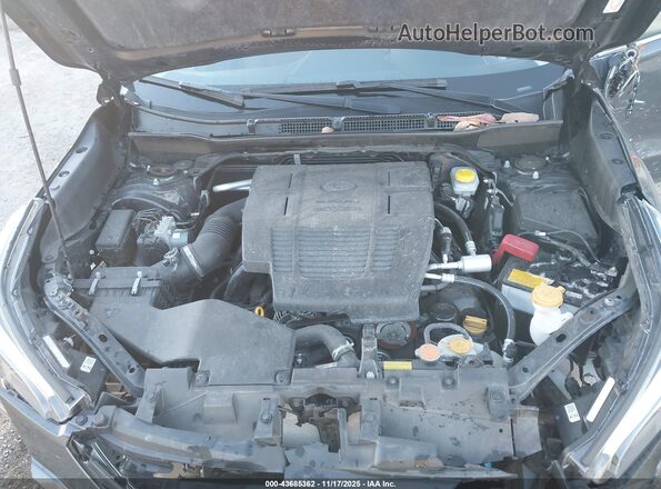 JF2SKARC0PH472993 2023 SUBARU FORESTER Gray Widok z tyłu