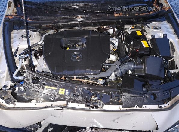 JM1BPALM5R1716361 2024 MAZDA 3 Бежевый 