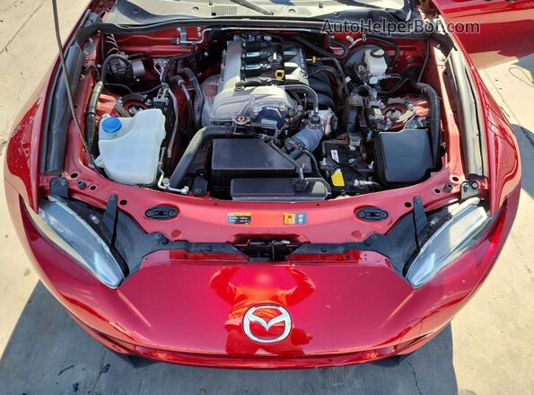 JM1NDAM78M0461282 2021 MAZDA MX-5 Красный Вид задней части салона