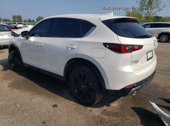 JM3KFBDM5P0255938 2023 MAZDA CX-5 White Հետևի ձախ