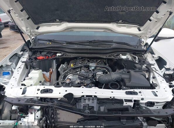 JM3KKBHA6S1237091 2025 MAZDA CX-90 PHEV Белый Вид сзади