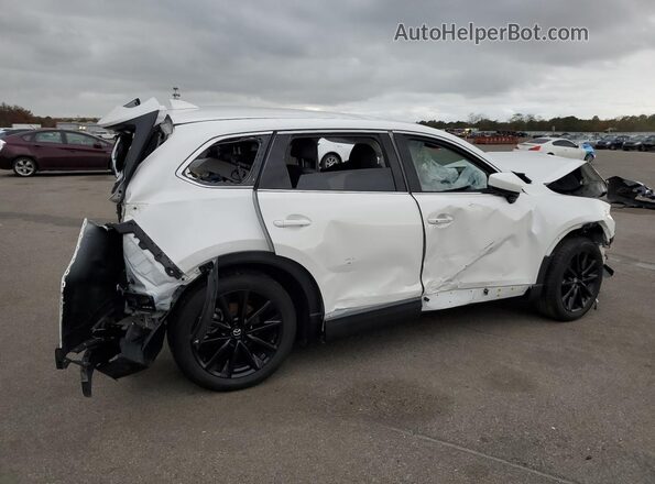 JM3TCBAY6P0656046 2023 MAZDA CX-9 White Rear right