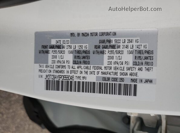JM3TCBAY6P0656046 2023 MAZDA CX-9 White VIN sticker view