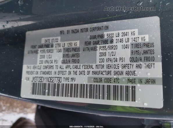 JM3TCBDY1N0627790 2022 MAZDA CX-9 Dark Blue Вид подкапотного пространства
