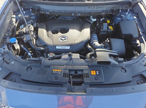 JM3TCBDY1P0640767 2023 MAZDA CX-9 Синий Вид задней части салона