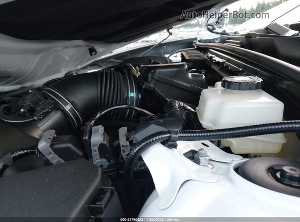 JTDAFAAF1T3014472 2026 TOYOTA CROWN Белый Вид сзади