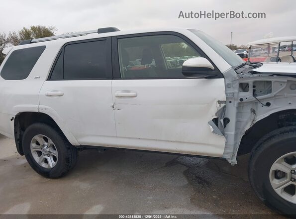 JTEMU5JR1R6282459 2024 TOYOTA 4RUNNER Белый Вид задней части салона