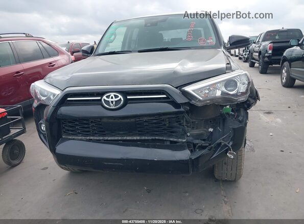 JTEMU5JR3R6281104 2024 TOYOTA 4RUNNER Black Vista frontal