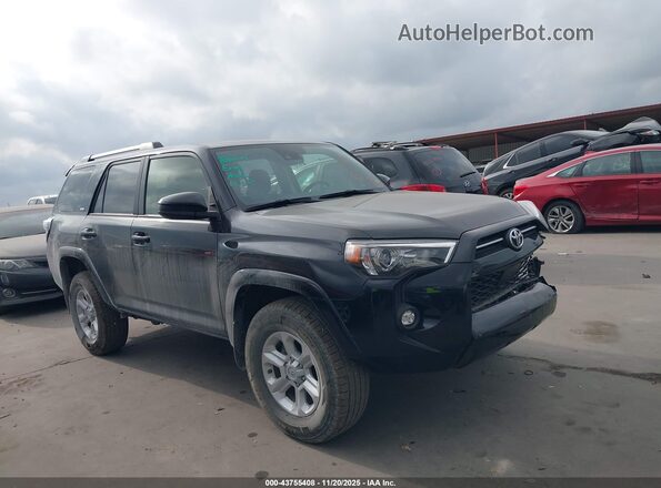 JTEMU5JR3R6281104 2024 TOYOTA 4RUNNER Black Vista interior trasera