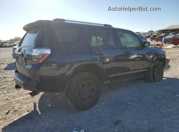 JTEMU5JR7R6238529 2024 TOYOTA 4RUNNER Синий Задняя правая четверть