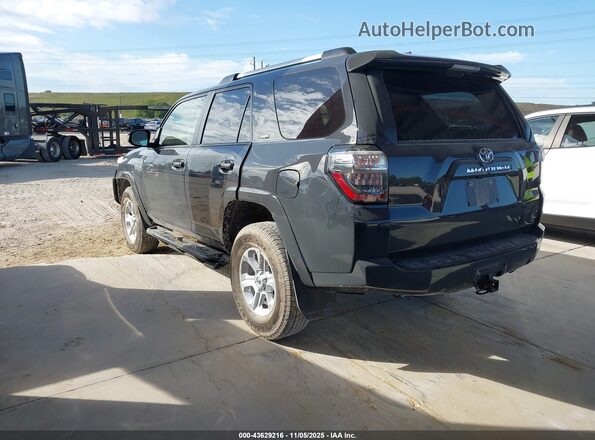 JTEMU5JR8R6230164 2024 TOYOTA 4RUNNER Gray Հետևի ձախ