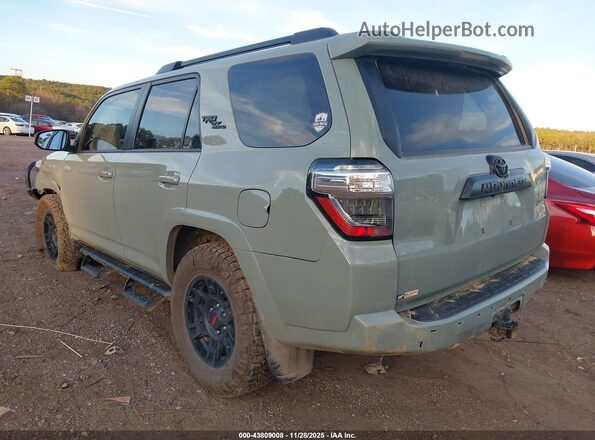 JTERU5JR8P6105426 2023 TOYOTA 4RUNNER Серый Задняя левая четверть