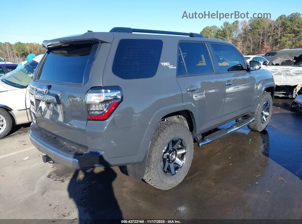 JTERU5JR8R6279368 2024 TOYOTA 4RUNNER Серый Задняя правая четверть